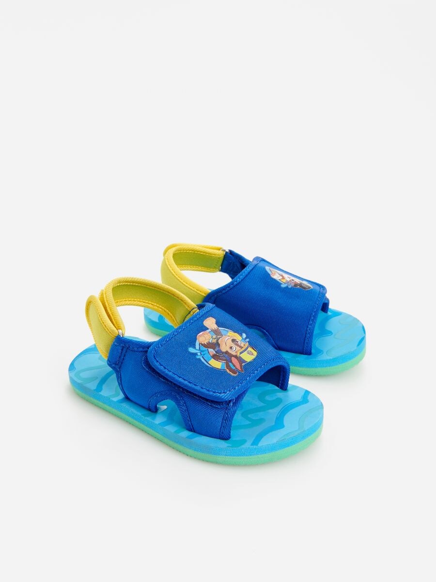 paw patrol buy online